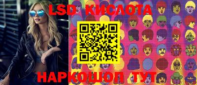 СК Вышний Волочёк