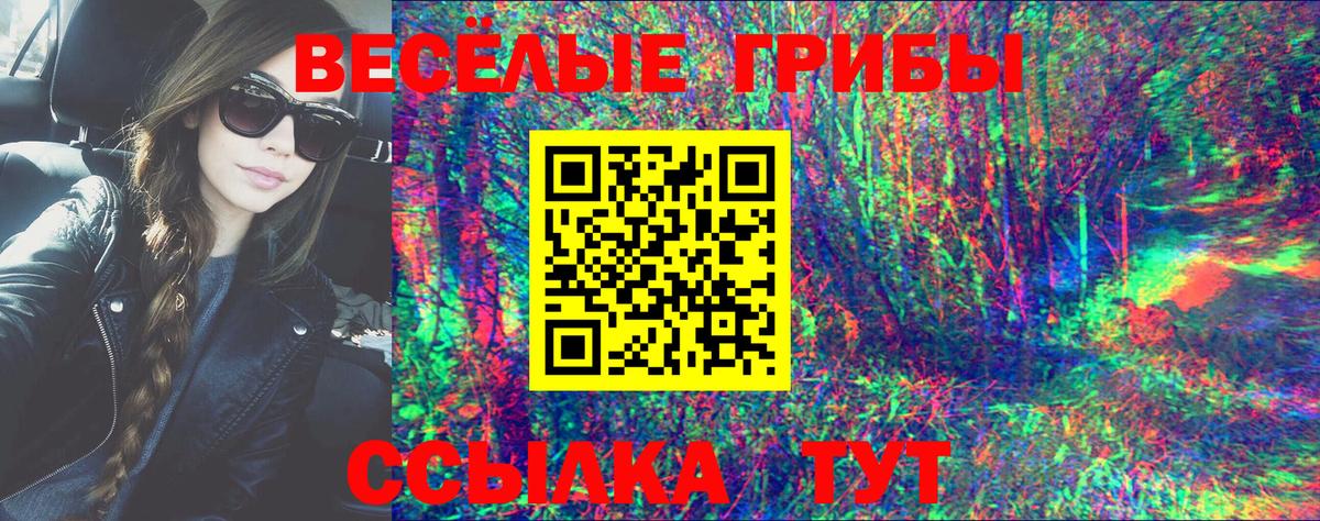 Галлюциногенные грибы MAGIC MUSHROOMS Губкин